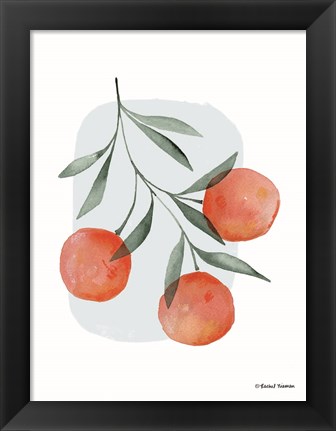 Framed Summer Orange Print