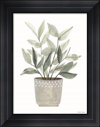 Framed Sage Planter Print