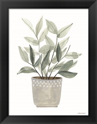 Framed Sage Planter Print