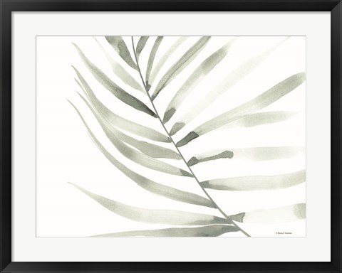 Framed Sage Fern Leaf Print