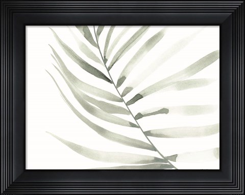 Framed Sage Fern Leaf Print