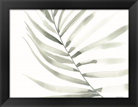 Framed Sage Fern Leaf Print