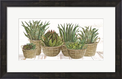 Framed Succulent Baskets Print