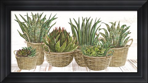 Framed Succulent Baskets Print