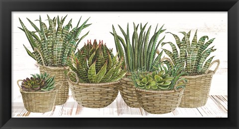 Framed Succulent Baskets Print