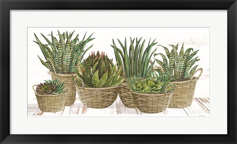 Framed Succulent Baskets Print