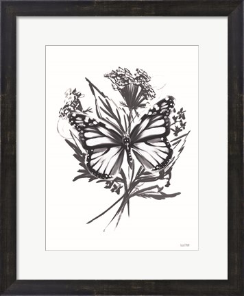 Framed Black &amp; White Butterfly Print