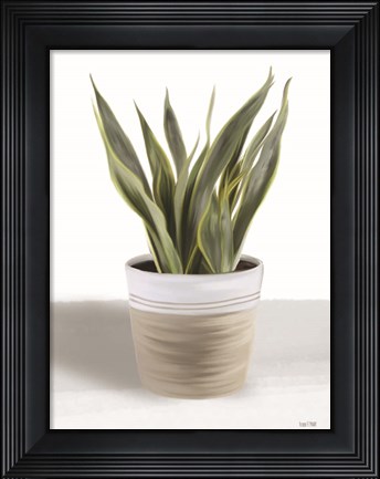 Framed Snake Plant I Print