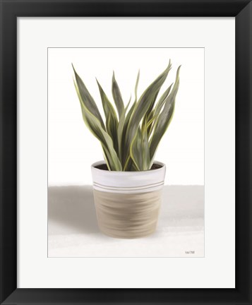 Framed Snake Plant I Print