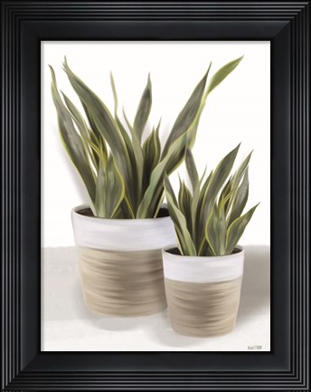 Framed Snake Plant II Print