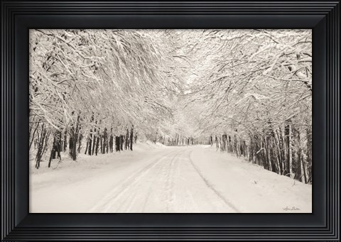 Framed Snowbound Print