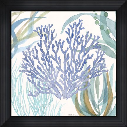 Framed Soft Shores VIII Print