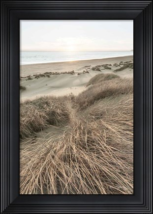Framed Beach Grasses Print