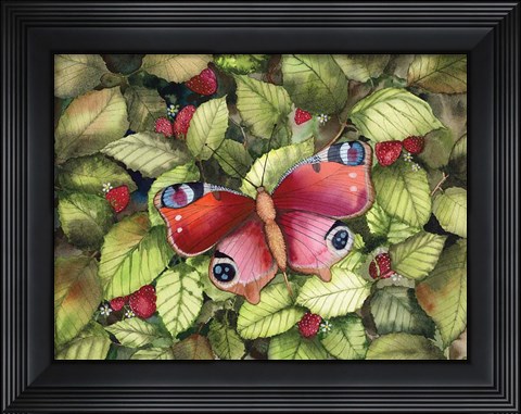 Framed Majestic Butterfly Print