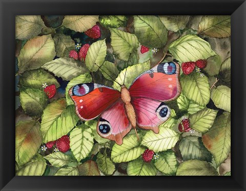 Framed Majestic Butterfly Print