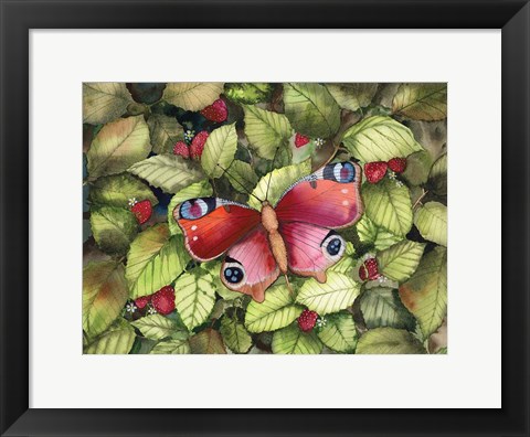 Framed Majestic Butterfly Print