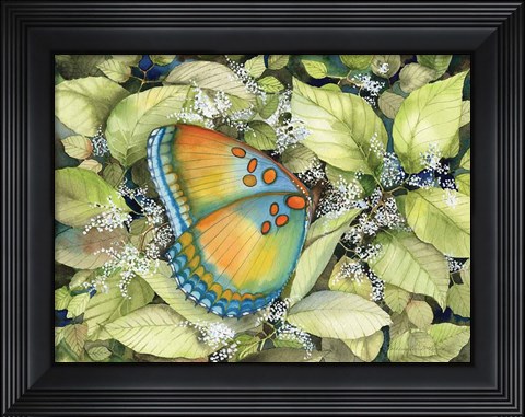 Framed Royal Butterfly Print