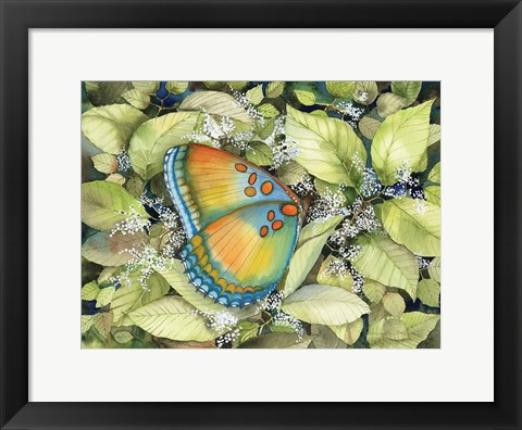 Framed Royal Butterfly Print