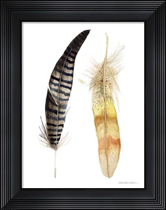 Framed Natural Feathers III Print