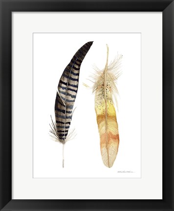 Framed Natural Feathers III Print