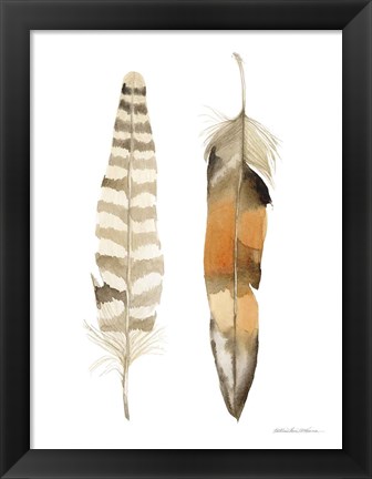 Framed Natural Feathers II Print