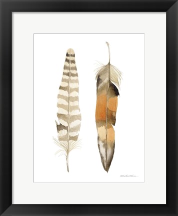 Framed Natural Feathers II Print