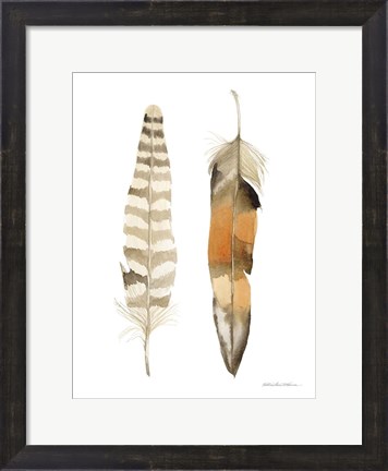 Framed Natural Feathers II Print