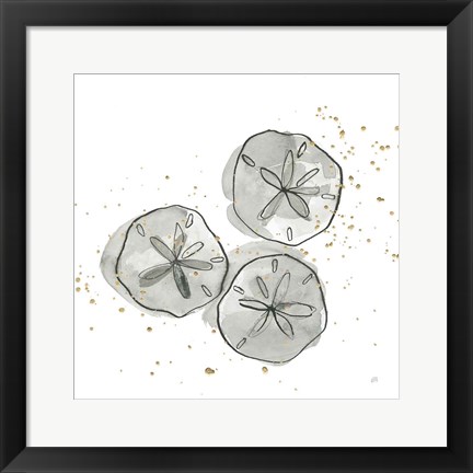 Framed Sand Dollar III Print