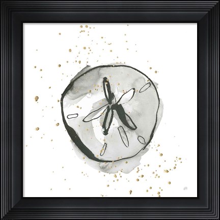 Framed Sand Dollar II Print