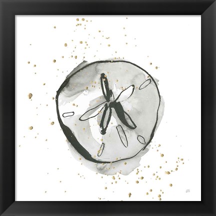 Framed Sand Dollar II Print