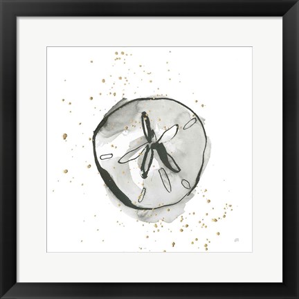 Framed Sand Dollar II Print