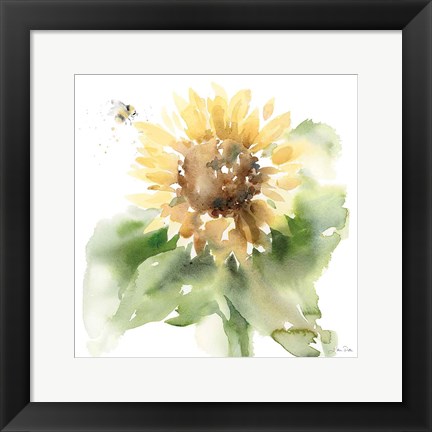 Framed Sunflower Meadow III Print