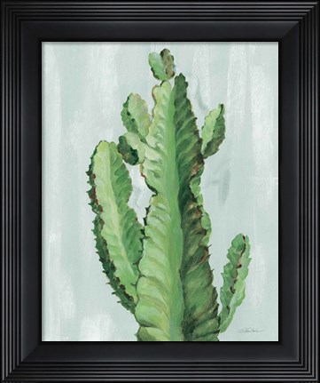 Framed Front Yard Cactus II Slate Print