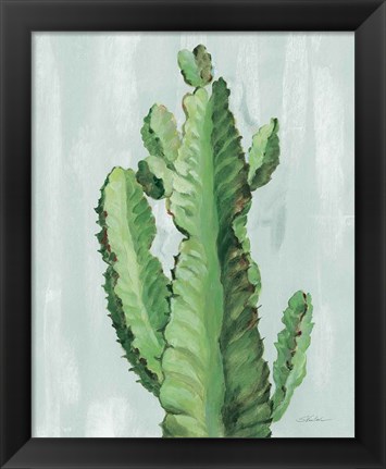Framed Front Yard Cactus II Slate Print
