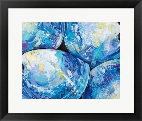 Framed Contemporary Shells Print