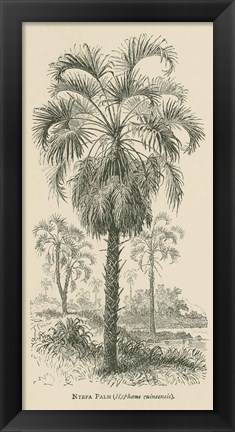 Framed Creators Wonders Book Palm Print