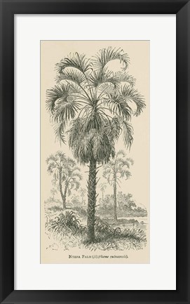 Framed Creators Wonders Book Palm Print