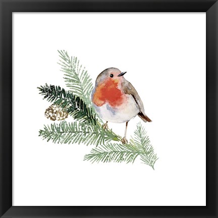 Framed Winter Visitor I Print