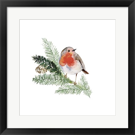 Framed Winter Visitor I Print