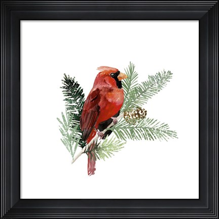 Framed Winter Visitor III Print