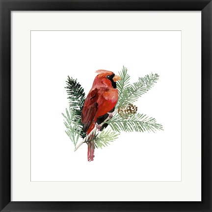 Framed Winter Visitor III Print