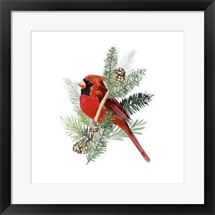Framed Winter Visitor IV Print