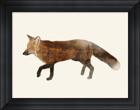 Framed Wilderness VI Print