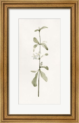 Framed Early Blooms I Print