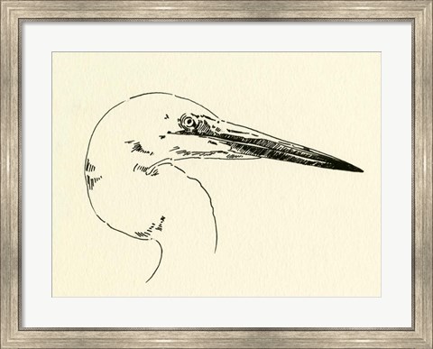 Framed Heron Head I Print