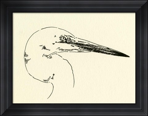 Framed Heron Head I Print