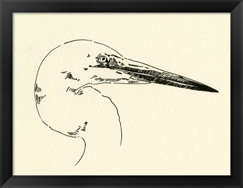 Framed Heron Head I Print