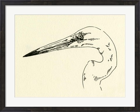 Framed Heron Head II Print