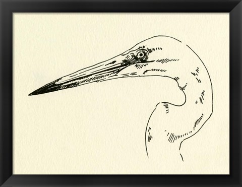 Framed Heron Head II Print