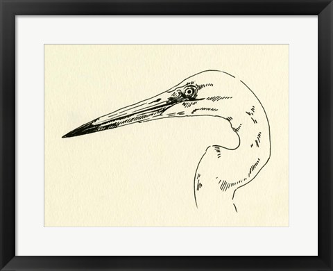 Framed Heron Head II Print